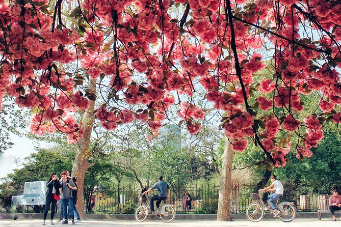 Private Photo Tour in Paris with a Professional Photographer - The Wall of Love in 20 minutes