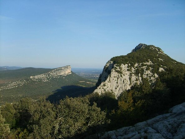 Private Pic Saint Loup Wine and Olive Tour from Montpellier - Key points at a glance