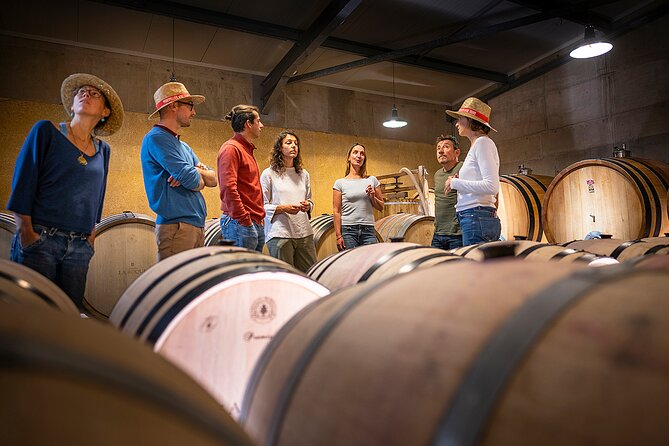 Private Pic Saint Loup Wine and Olive Tour from Montpellier - The Pic Saint-Loup viewpoint, medieval castles, and open country