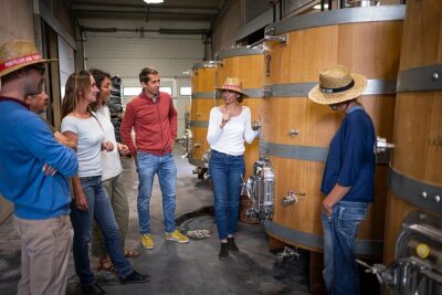 Private Pic Saint Loup Wine and Olive Tour from Montpellier - Château Puech-Haut and the first wine tasting