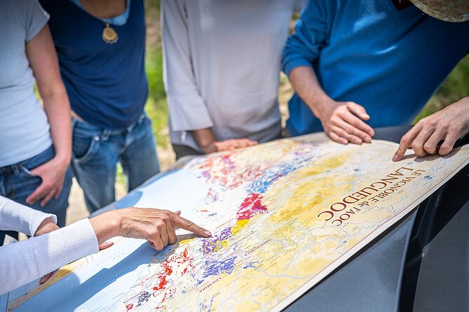Private Pic Saint Loup Wine and Olive Tour from Montpellier - What $504.67 per person buys you