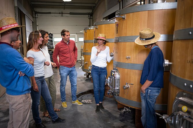 Private Pic Saint Loup Wine and Olive Tour from Montpellier - Château Puech-Haut and the first wine tasting