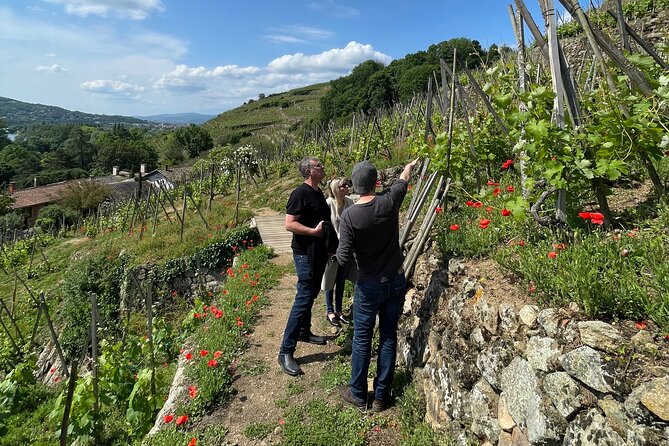 Private Rhône-Valley wine tour - Who should book this experience?