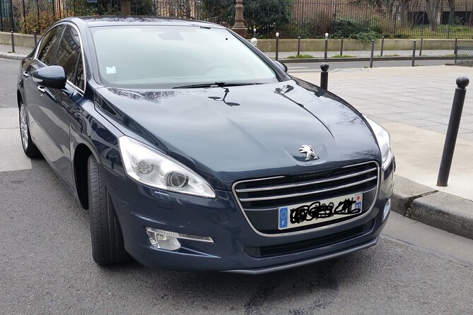Private round trip transfer from/to Paris airports - What the arrival pickup looks like