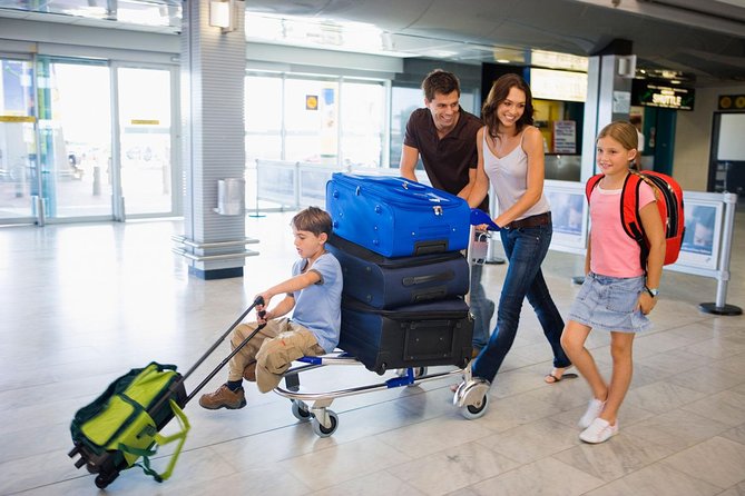 Private Shuttle from Charles de Gaulle Airport to Paris: Premium Service - Key points to know before booking