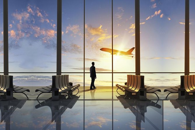 Private Shuttle from Charles de Gaulle Airport to Paris: Premium Service - Leaving Charles de Gaulle without the taxi queue