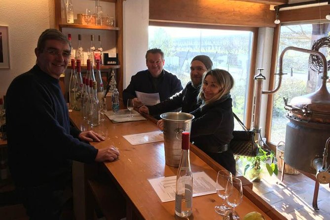 Private Tour: Alsace Villages and Wine Day Trip from Colmar - What the private vehicle adds to the day