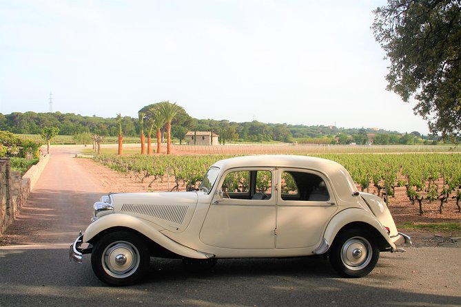 Private tour by private car: Grasse, Cannes, Antibes - Who should book this private tour?