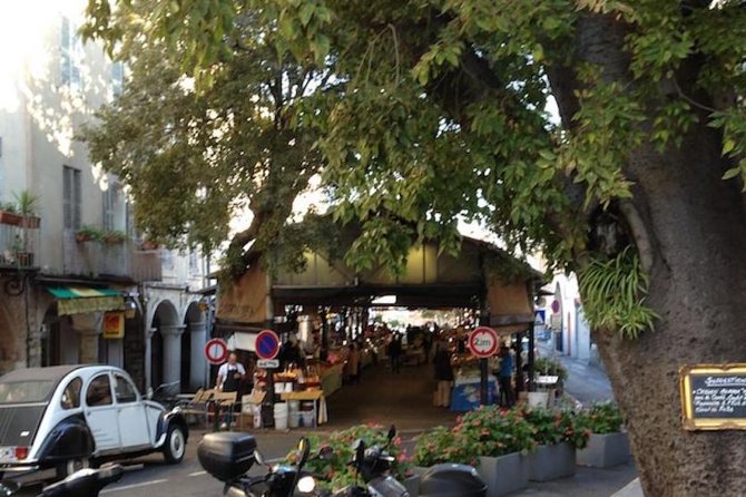 Private Tour from Cannes - Key points to know before you book
