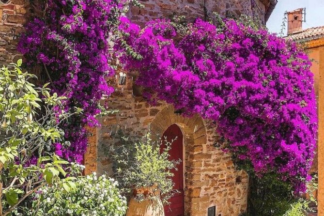 Private Tour from Saint-Tropez to the flowers city - A private route beyond Saint-Tropez