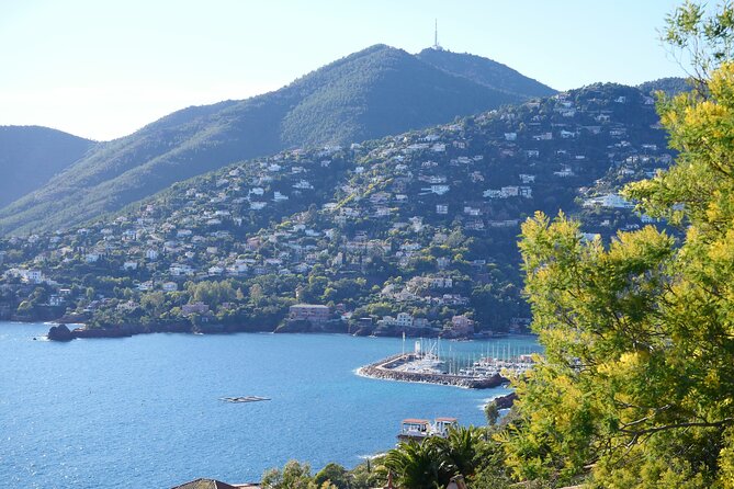 Private Tour from Saint-Tropez to the flowers city - Grimaud: medieval stone and a change of mood