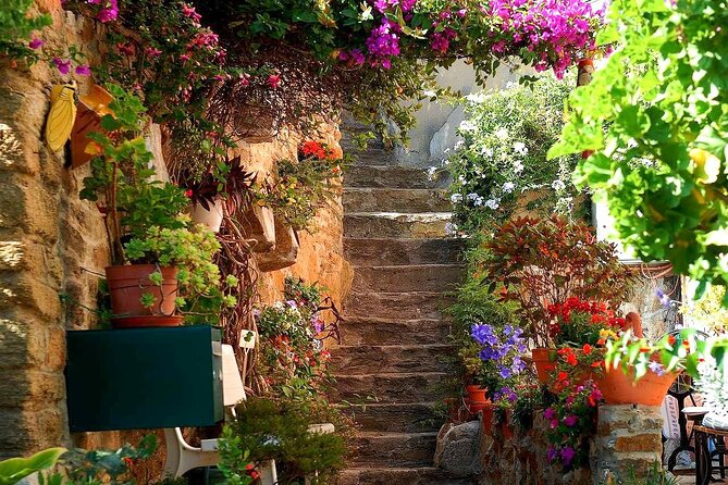 Private Tour from Saint-Tropez to the flowers city - Bormes-les-Mimosas: the main stop of the day