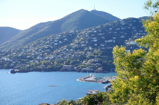 Private Tour from Saint-Tropez to the flowers city - Why private transportation matters here