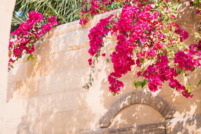 Private Tour from Saint-Tropez to the flowers city - The pace, walking, and meal plan