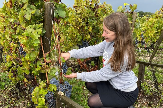 Private tour in the prestigious Médoc wine region - Château Lamothe-Bergeron and the second tasting