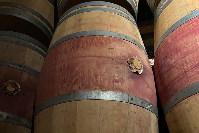 Private tour in the prestigious Médoc wine region - Château photo stops add more than decoration