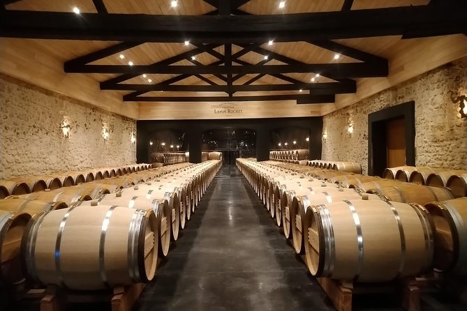 Private tour in the prestigious Médoc wine region - Is $217.81 per person a fair price?