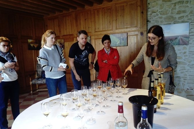 Private tour in the Sauternes wine region - discover Bordeaux sweet Crus Classés - A Private Ride from Bordeaux