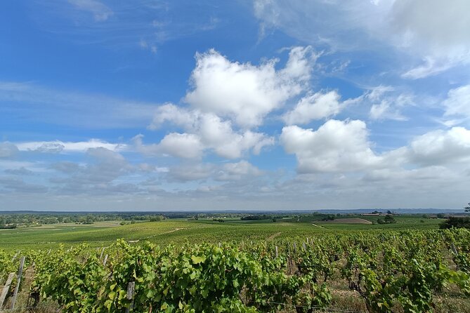 Private tour in the Sauternes wine region - discover Bordeaux sweet Crus Classés - Booking, Cancellation, and Simple Planning Tips