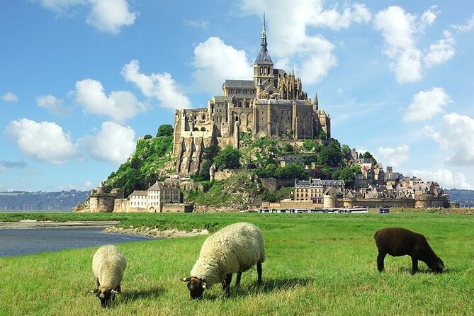 Private tour of Mont Saint-Michel and the D-Day Beaches - Key points to know before you book