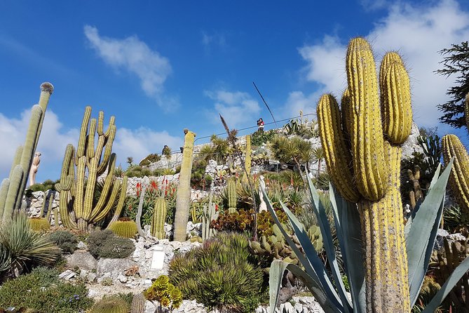 Private Tour of Nice, Monaco & Eze with a local guide - What the private vehicle changes
