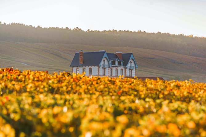 Private tour of the Champagne area, meet local producers and taste their Champagne, start from your hotel in Paris. - Hotel Pickup in Paris Makes the Whole Day Easier