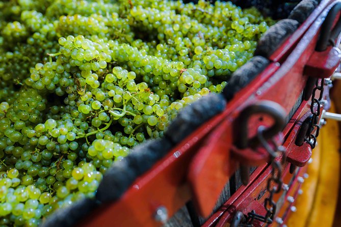 Private tour of the Champagne area, meet local producers and taste their Champagne, start from your hotel in Paris. - Hautvillers and Dom Pérignon: The Marne Valley View Stop