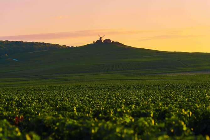 Private tour of the Champagne area, meet local producers and taste their Champagne, start from your hotel in Paris. - Inside Big Champagne Cellars: Tastings and What They Teach You