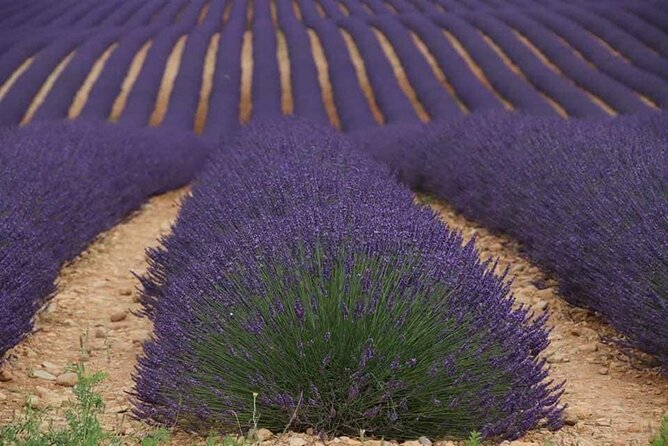 Private Tour Perched Villages of Luberon & (LAVENDER JUNE/JULY) - Gordes hilltop time: belvedere views and market browsing