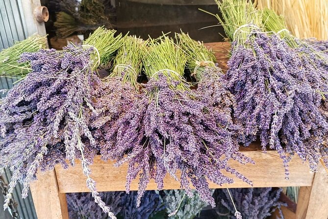 Private Tour Perched Villages of Luberon & (LAVENDER JUNE/JULY) - Comfort and pacing: how to make an 8-hour day feel easy