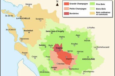 Private tour to Cognac - a delight for discerning gourmets - Hennessy from 10:00 to noon