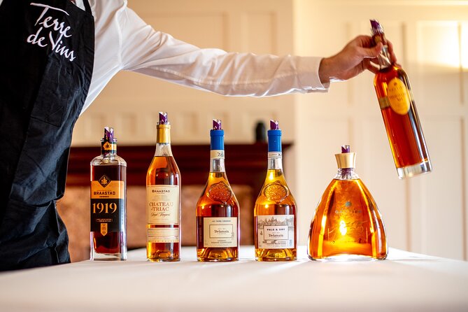 Private tour to Cognac - a delight for discerning gourmets - The return to Bordeaux at about 7:30 p.m.