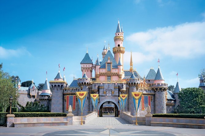 Private Transfer: Disneyland Park or Hotel to Paris by Luxury Van - Leaving Disneyland Paris without the station shuffle