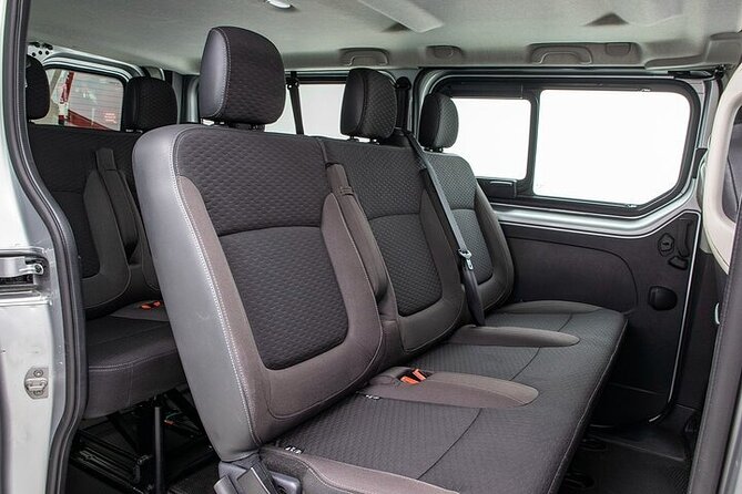 Private Transfer from Lourdes Airport LDE to Lourdes City by Van - Key points to know before booking
