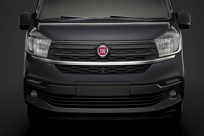 Private Transfer from Lourdes Airport LDE to Lourdes City by Van - Why the meet-and-greet matters