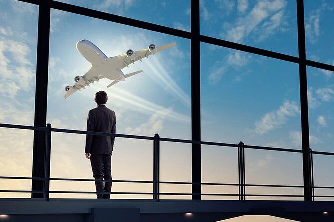 Private Transfer from Orly Airport to Paris - Leaving Orly without the taxi queue
