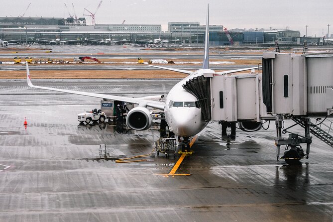 Private Transfer from Paris to CDG and Orly Airport - Punctuality and traffic