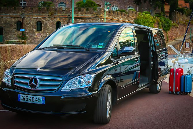 Private transfer from Paris to Disneyland - Key points to know before booking