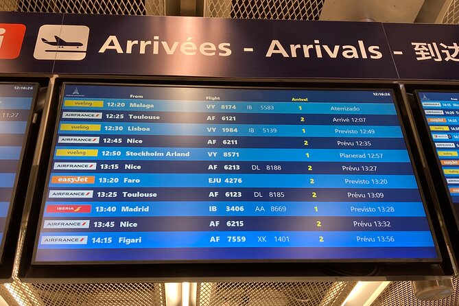 Private Transfer from Roissy CDG Airport to Disneyland Paris - Booking details worth checking before departure