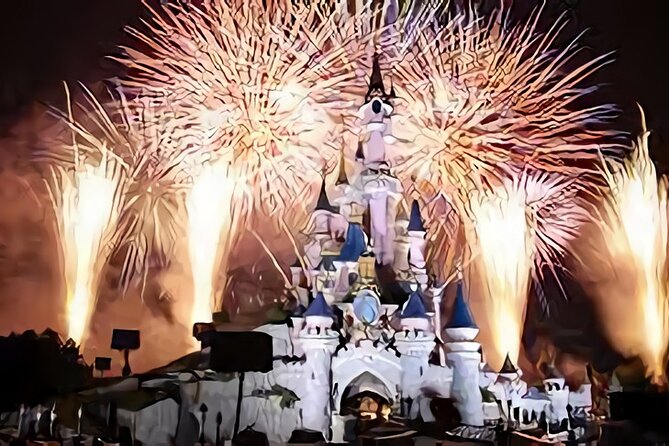 Private transfer from/to CDG, ORLY airports <=> DISNEYLAND - Returning from Disneyland to the airport