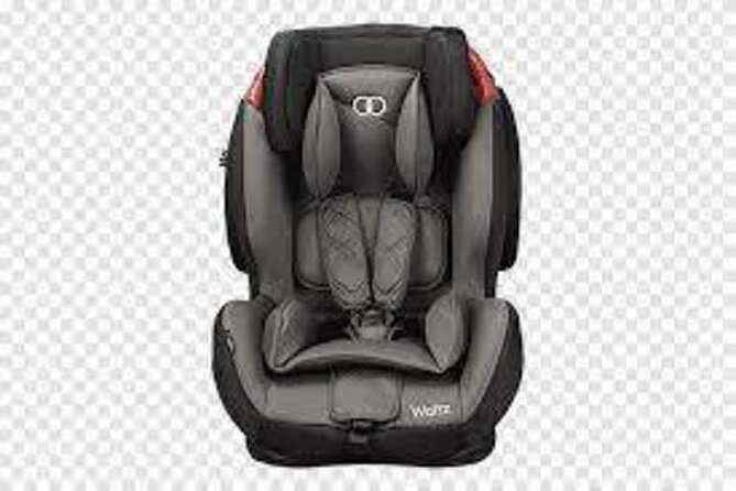 Private transfer from/to CDG, ORLY airports <=> DISNEYLAND - What the family details tell you
