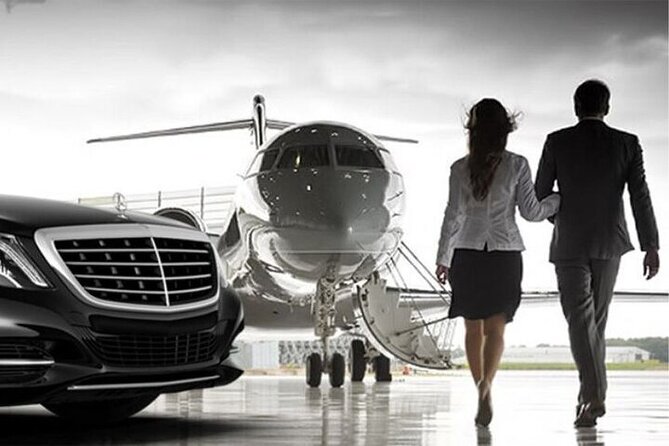 Private transfer from/to CDG, ORLY airports <=> DISNEYLAND - Meeting your driver at CDG or Orly