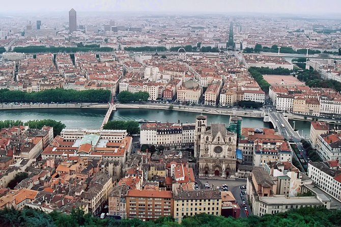 Private Transfer: Lyon Airport LYS to Lyon City in Luxury Van - Who will get the most from this transfer