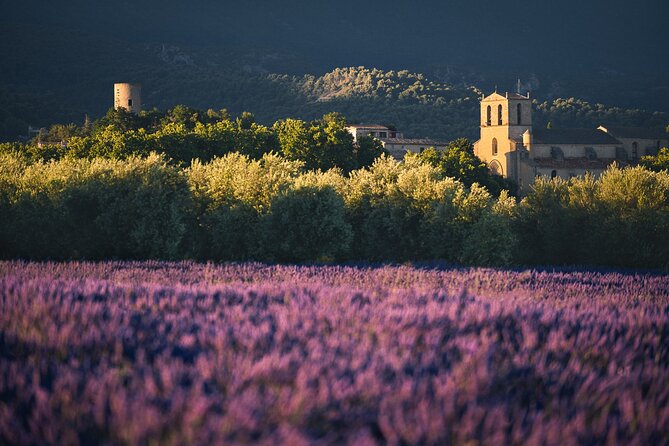 Private Transfers Provence by smart vtc - Who will get the most from Smart VTC