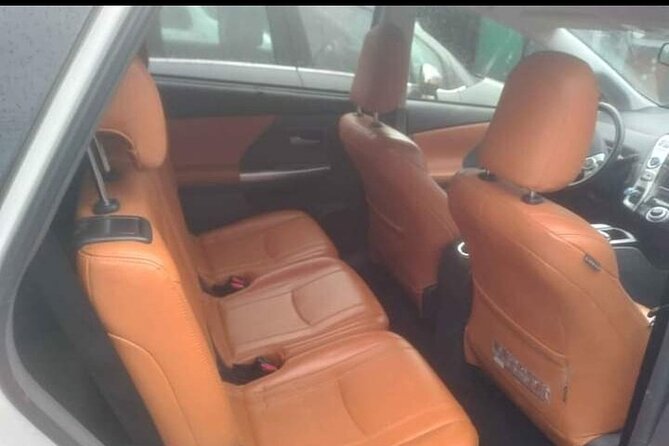 Private Transport from Charles de Gaulle Airport to Paris - Who will appreciate this transfer most