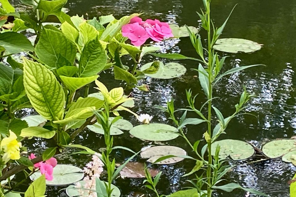 Private Trip Giverny Versailles Trianon from Paris - The transfer to Versailles