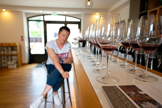 Private wine tasting workshop by Dufouleur - Bourgogne - Organic Farming in Progress: why it changes the wine story