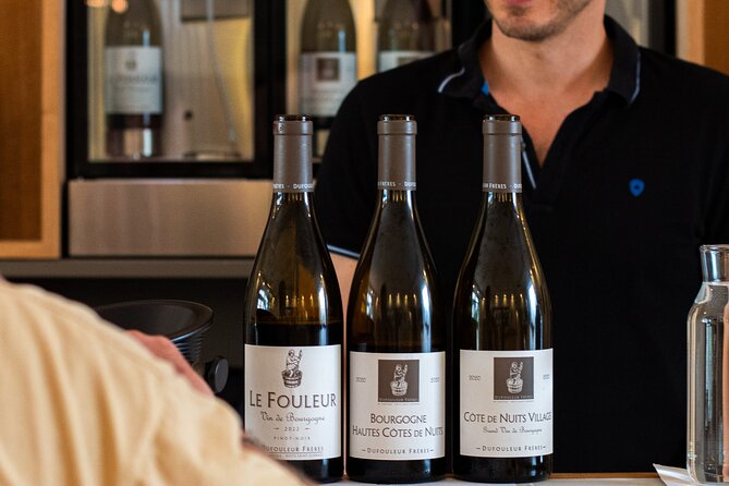 Private wine tasting workshop by Dufouleur - Bourgogne - Price and timing: does $54.31 make sense?