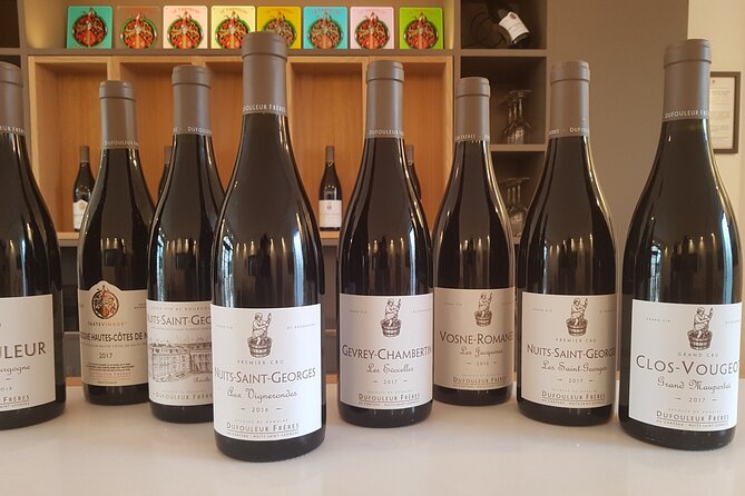 Private wine tasting workshop by Dufouleur - Bourgogne - Should you book this Dufouleur wine workshop?