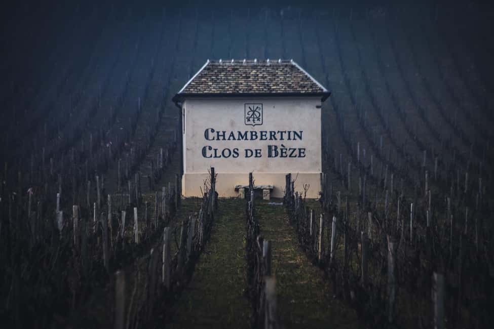 Private Wine Tour in Côte de Nuits and Côte de Beaune - Who should book this Burgundy wine tour?
